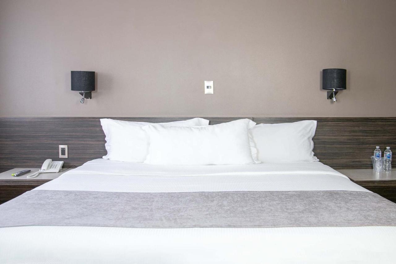 Hotel Brasilia Città del Messico